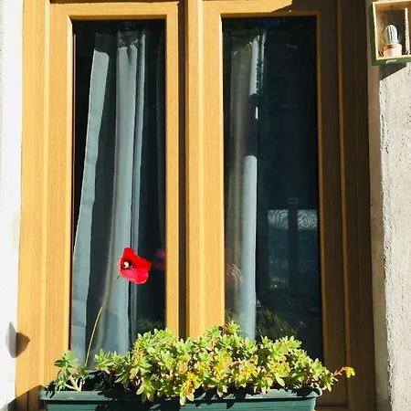 Ca Bossa Molina Holiday home Faggeto Lario