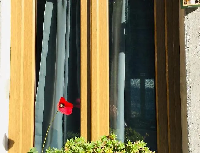 Ca Bossa Molina Holiday home Faggeto Lario